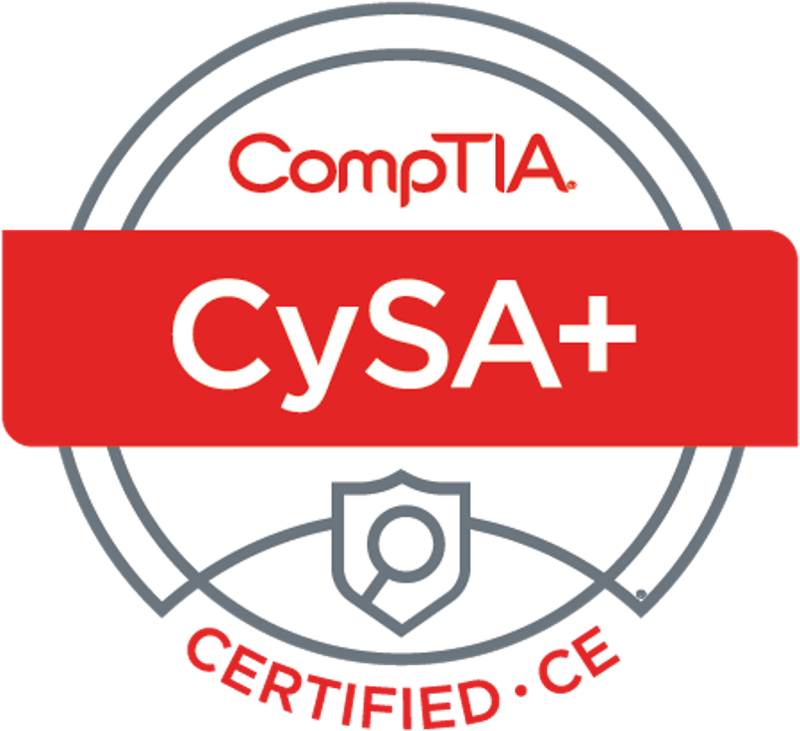 Cybersecurity analyst